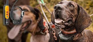 reconditioned hunting dog shock collars