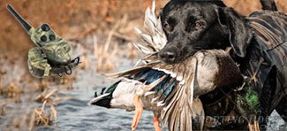 Best e collar for waterfowl hunting sale